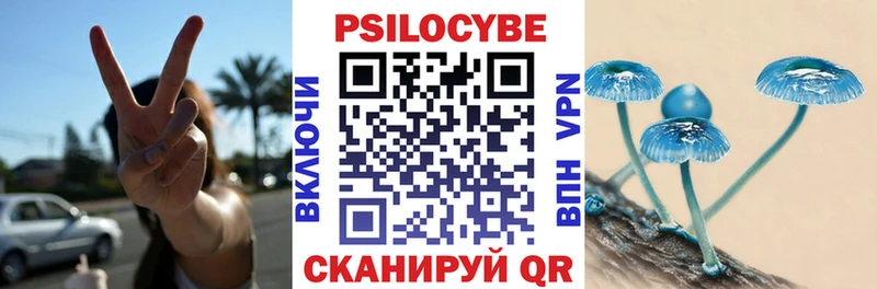 Псилоцибиновые грибы Cubensis  Купить где  Благодарный 